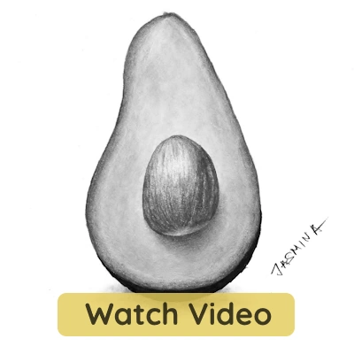 pencil drawing tutorial of an avocado