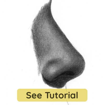 Beginner pencil drawing of nose, technical step-by-step tutorial