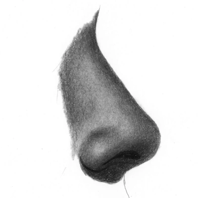 pencil drawing tutorial nose realistic sketch