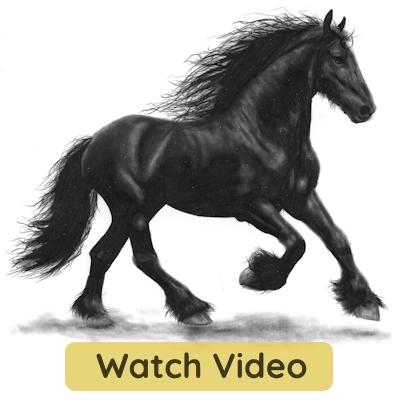 Easy horse sketch with shading drawing tutorial