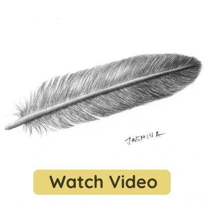 Easy feather sketch with shading drawing tutorial