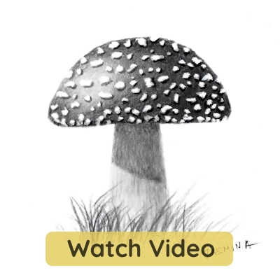 Easy mushroom sketch with shading drawing tutorial