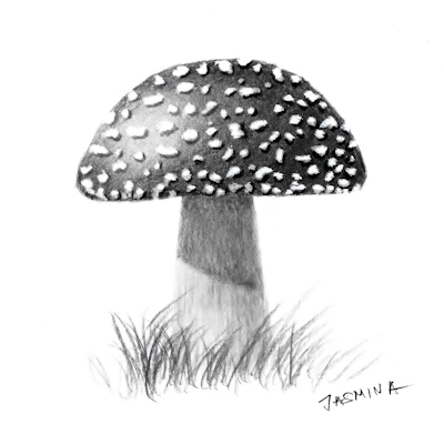 Drawing mushroom with pencil soft shading technique for realistic texture
