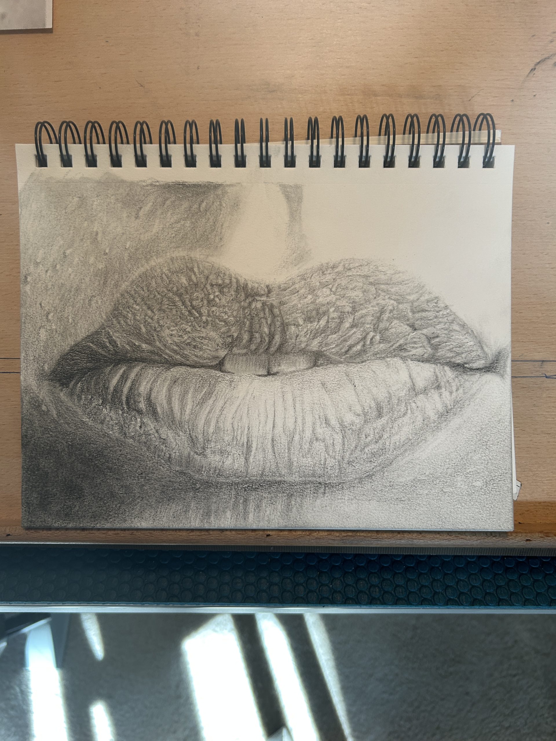 Curated visual reference: Pencil Drawing For Tutoring Reference: How To Draw Lips